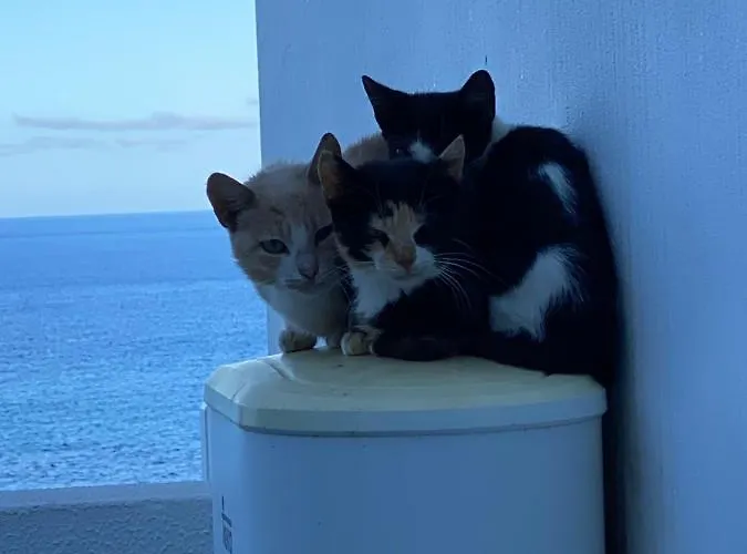 Sea House Hébergement de vacances