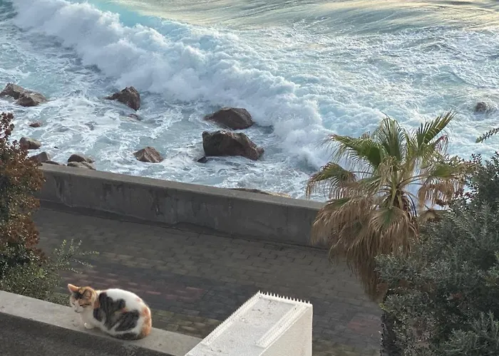 Semesterbostad Sea House Jardim do Mar